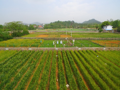 耕地保护与地力提升技术迭代升级， 守牢粮食生产“命根子”