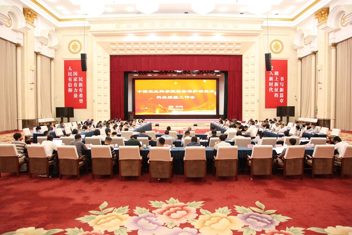 379077_cd9d29b5-b799-4ebd-80e1-bac78b624bd6copy.jpg