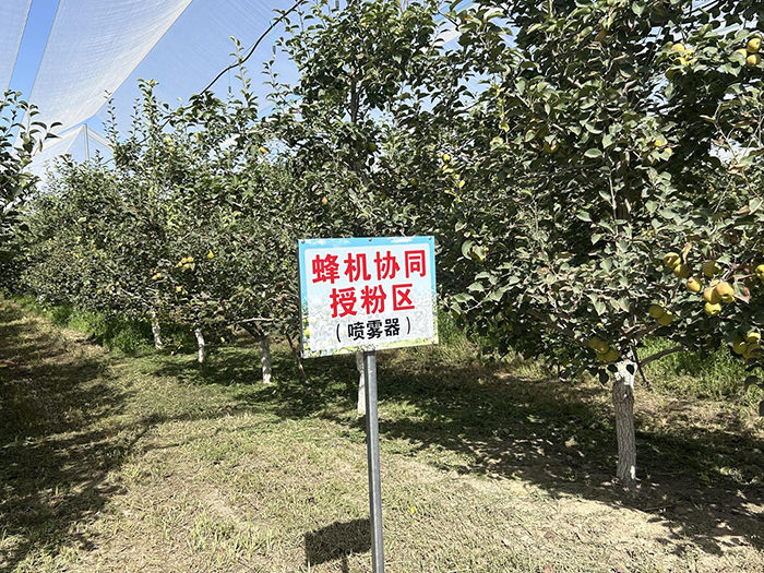 393515_c07b2a7f-19b4-4b0a-ba65-bb51192c1bd0copy.jpg