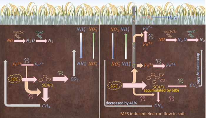 52a5cc88e9596d421c1e4e94fc805a0.png 15967823052188.png