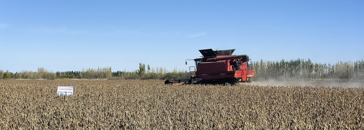 ARC生物耦合技术助力盐碱地大豆增产